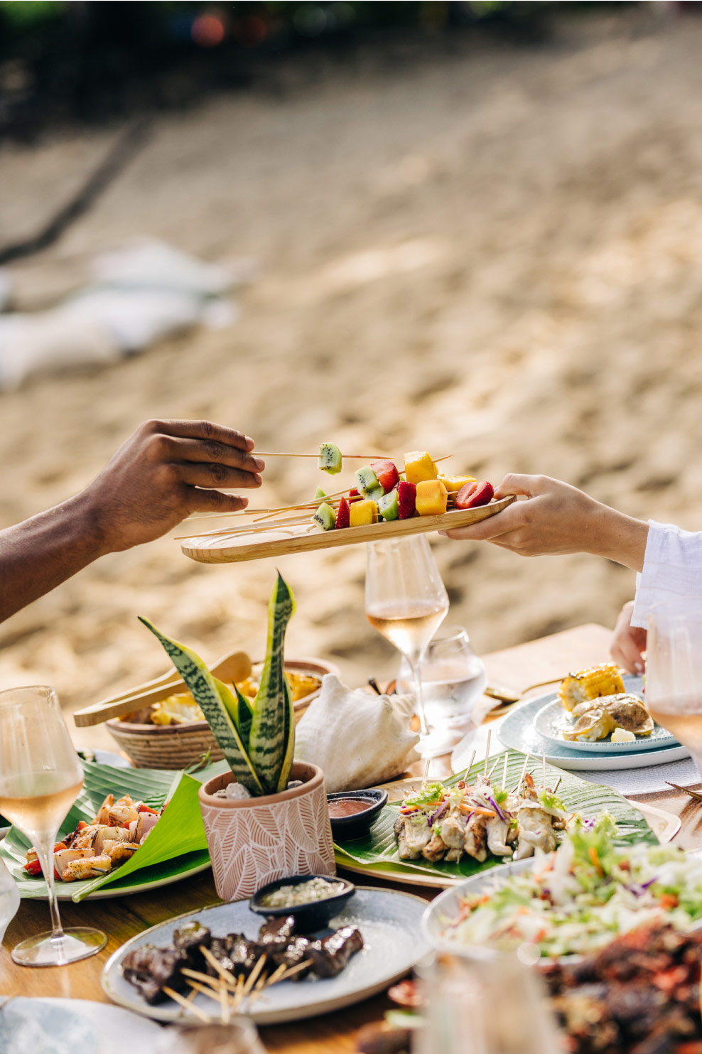 ANI_Dominican_Republic_Guest_Privileges_Beach_BBQ_food