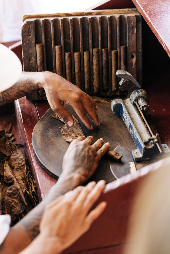 Private Cigar Rolling Experience