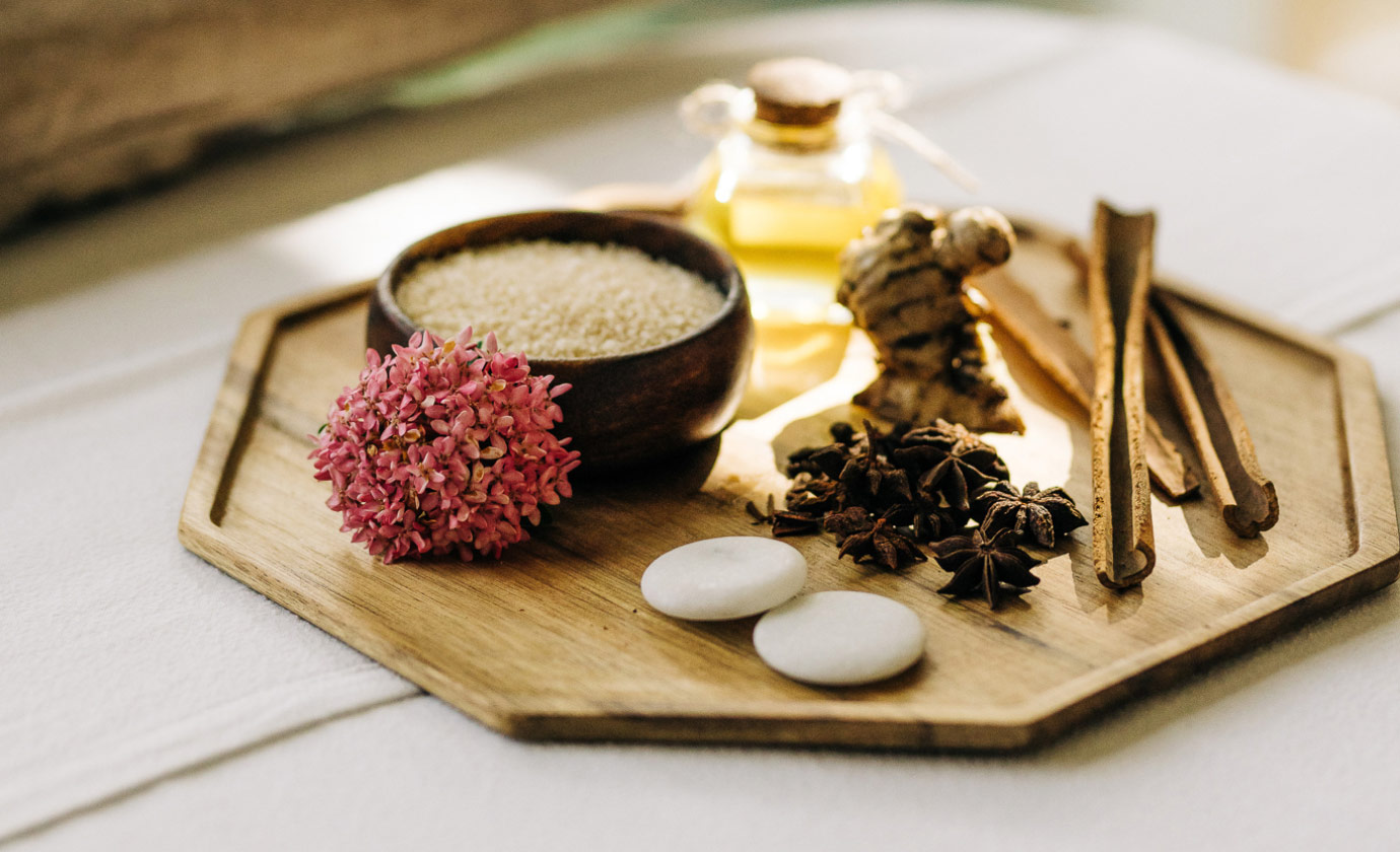 Ani DR Guest Privileges Wellness