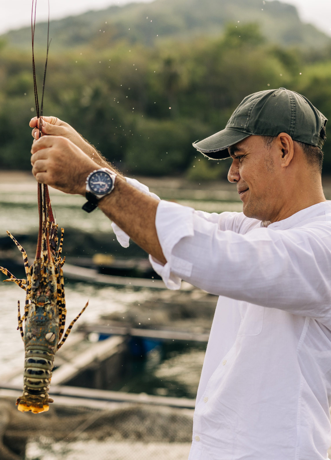 Private Chef Picking Local Ingredients