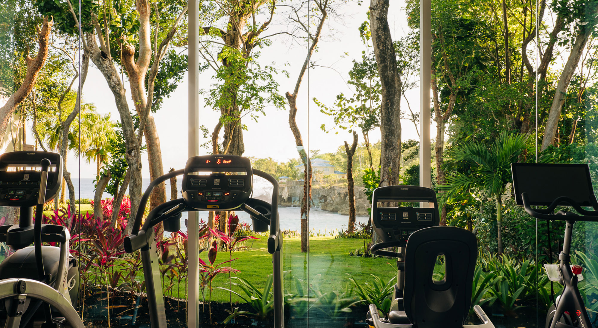 ÀNI Dominican Republic - Gym Surrounded by anture