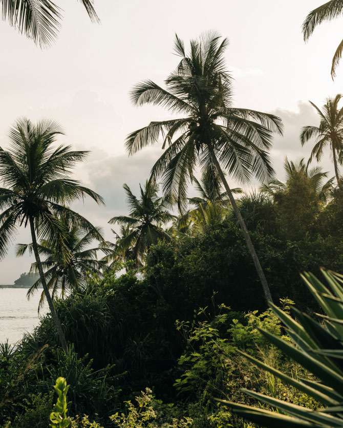 ÀNI Sri Lanka - Surrounded by Nature